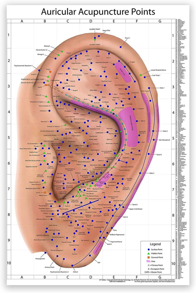 Tabella auricoloterapia orecchio