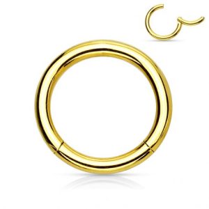 Gold Surgical Steel Clip-in Segment Ring Piercing